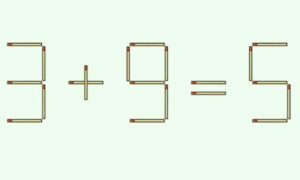 Пример из спичек