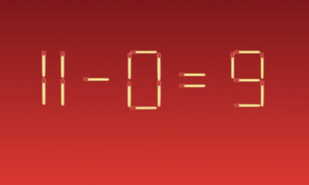 Пример из спичек