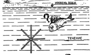 картинка с колесом на дне реки