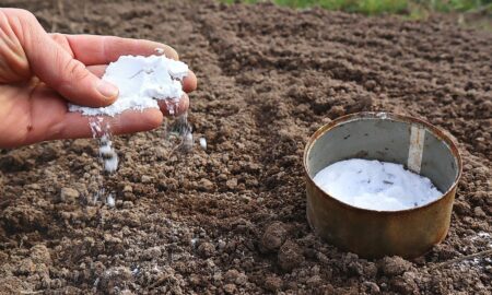 сыпет соль на землю