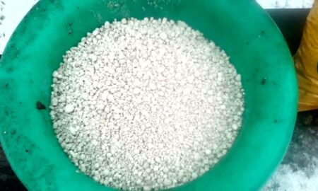 Гранулы суперфосфата