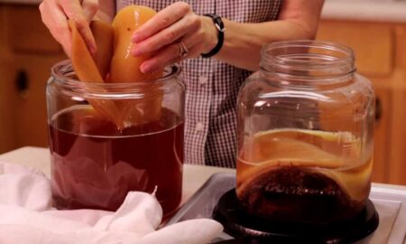 Готовит чайный гриб