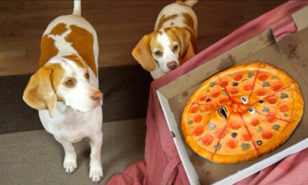 Собаки и пицца