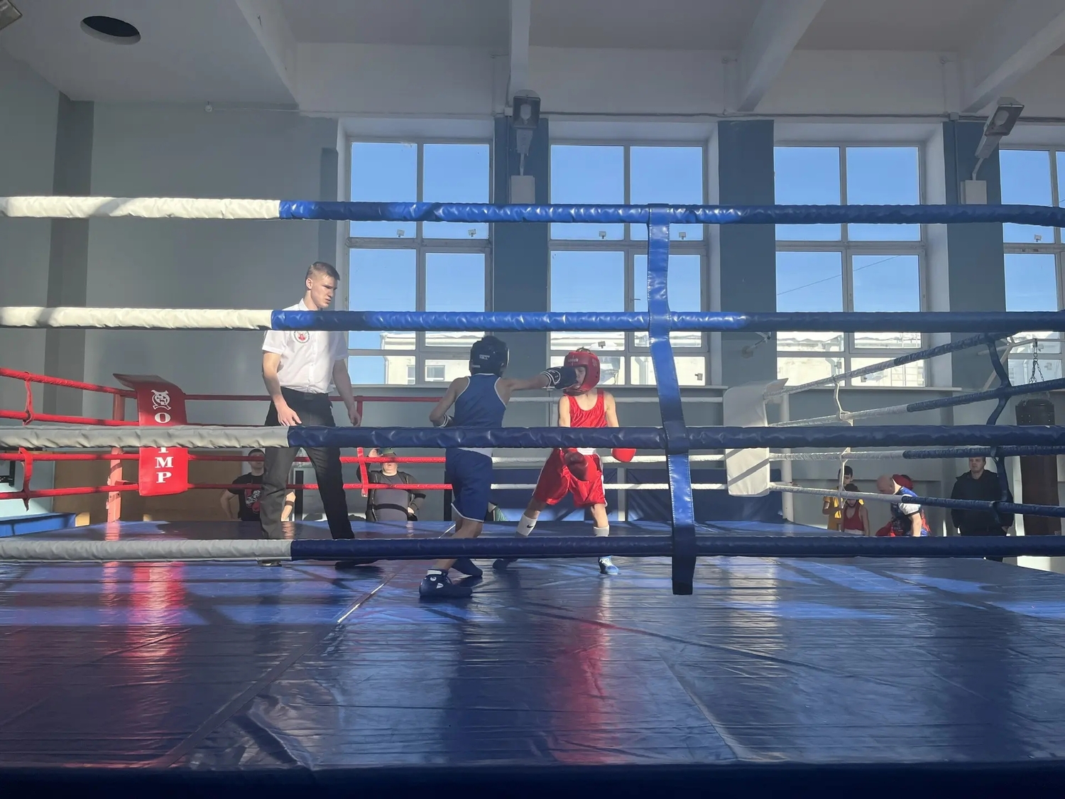 Турнир по боксу