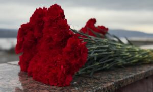 гвоздики возложеные на мемориал