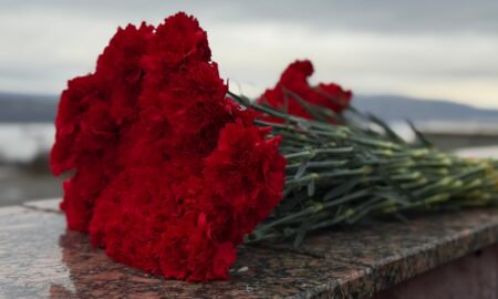 гвоздики возложеные на мемориал