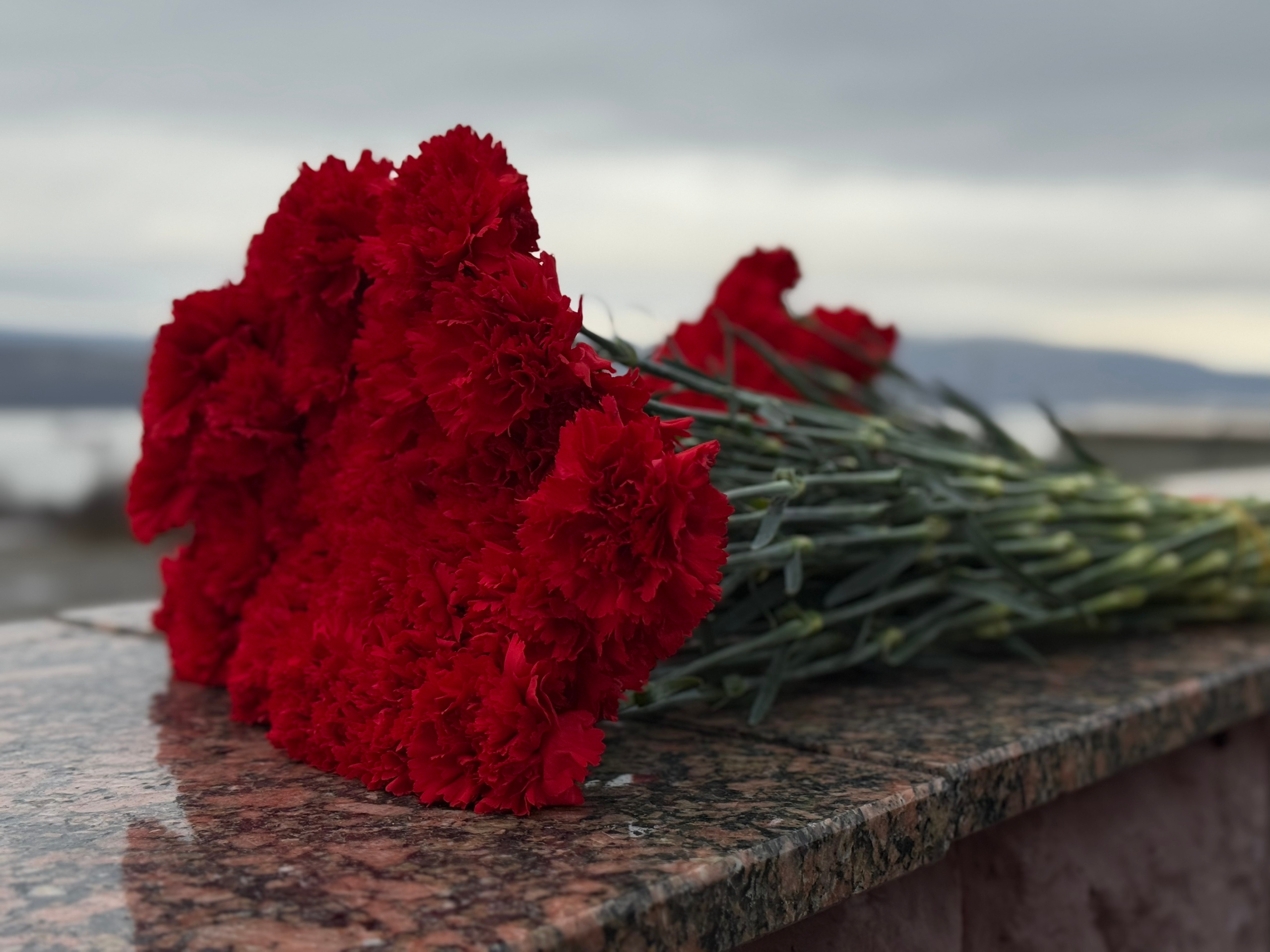 гвоздики возложеные на мемориал