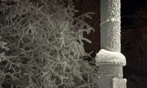 иней на трубе и деревьях