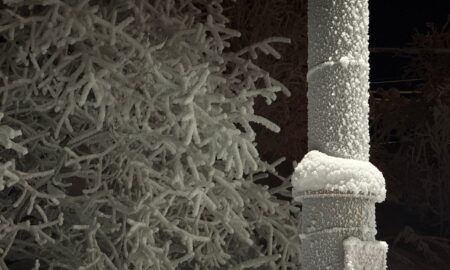 иней на трубе и деревьях