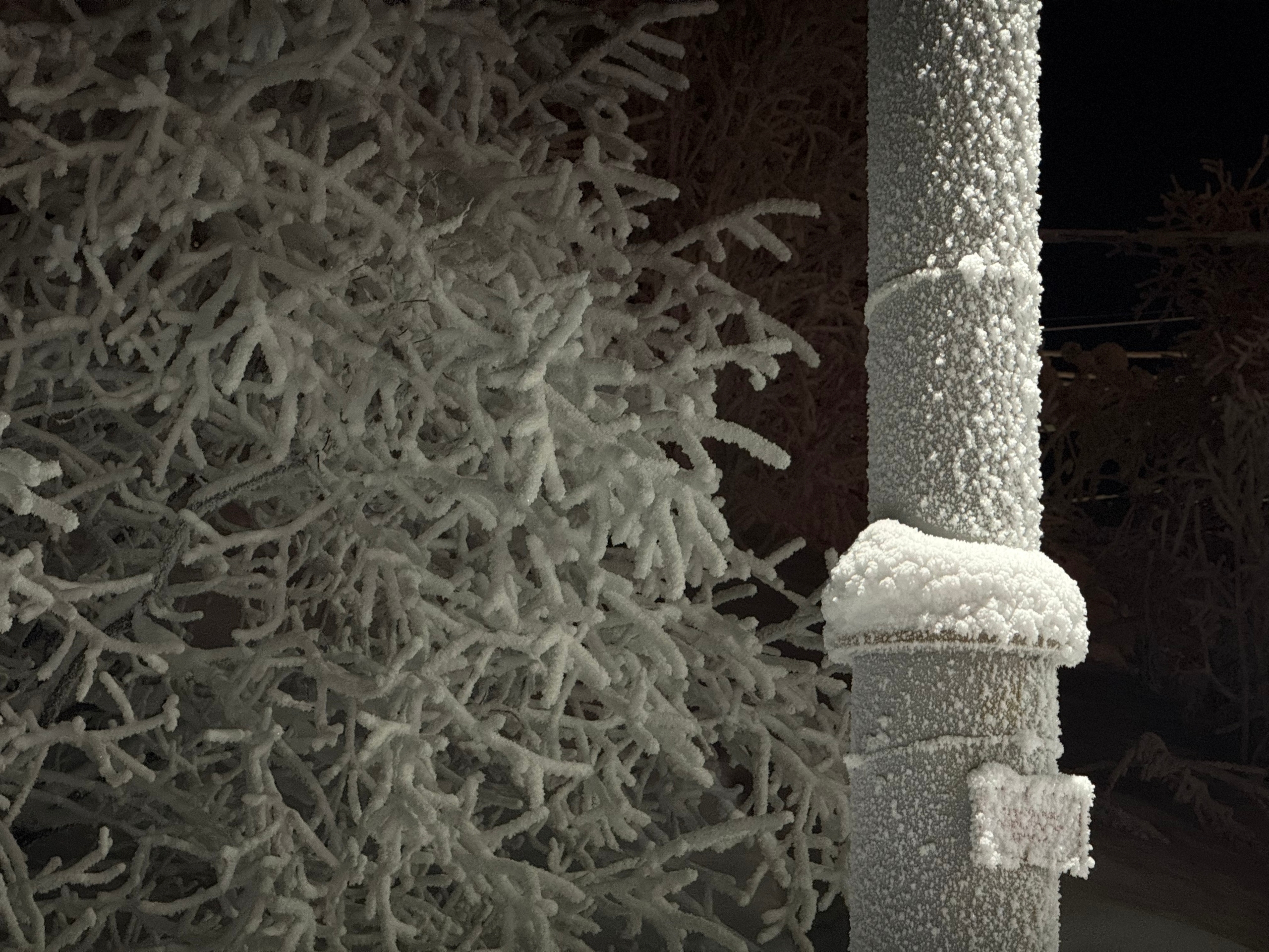 иней на трубе и деревьях