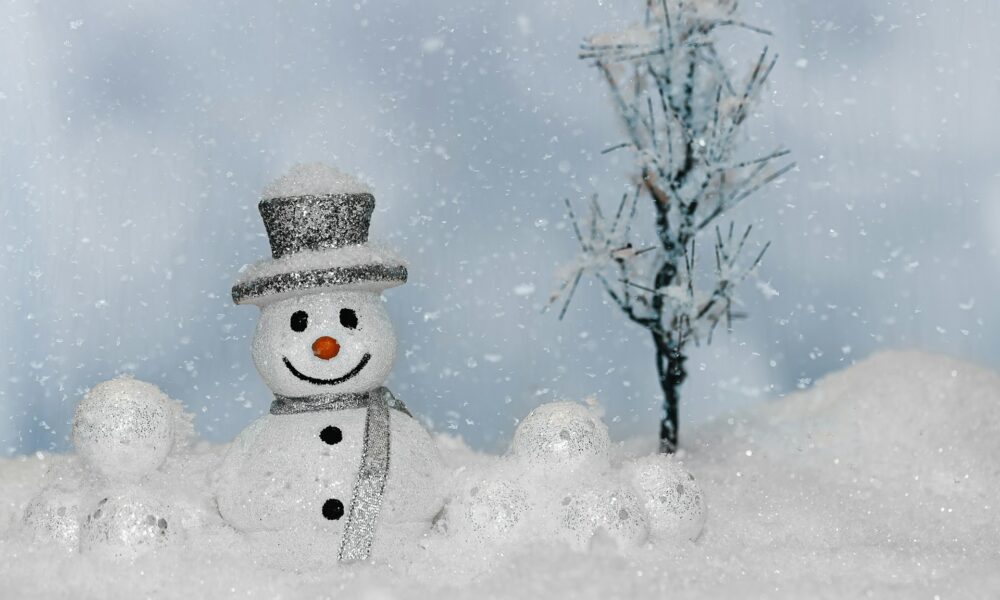 Снеговик зимой