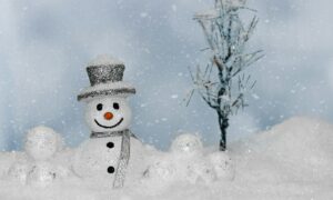 Снеговик зимой