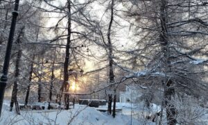 Мороз зимой