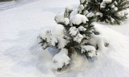 Зимой холодно