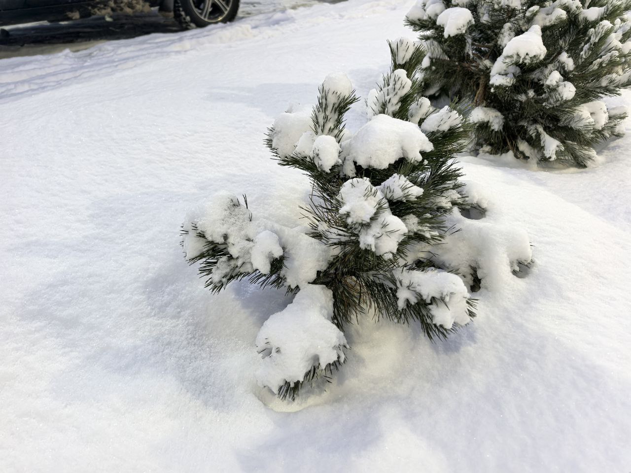 Зимой холодно