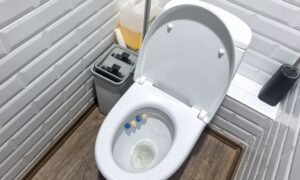 Унитаз в ванной комнате