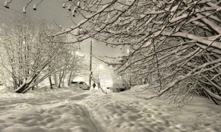 Заснеженный день