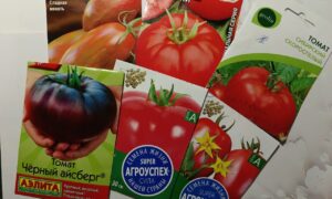 Удобрения для растений