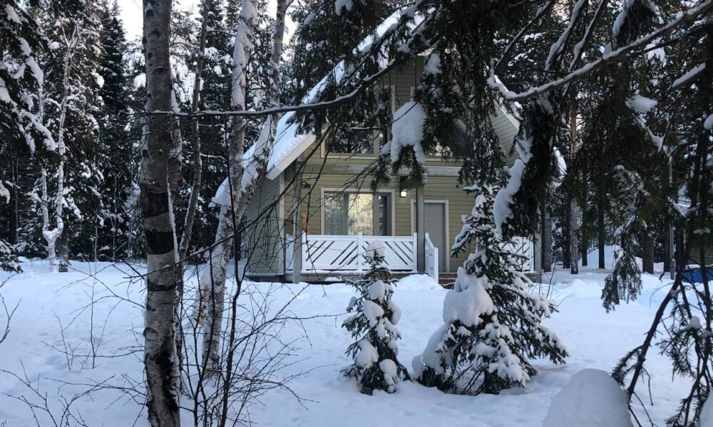 Дом в заснеженном лесу