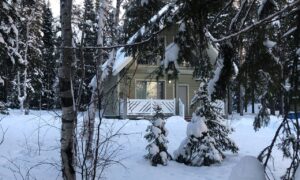 Дом в заснеженном лесу