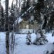 Дом в заснеженном лесу