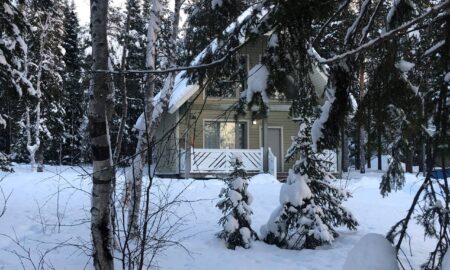 дом в заснеженном лесу