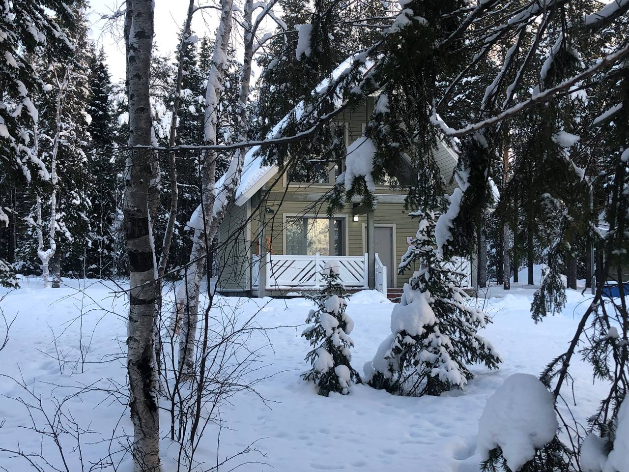 дом в заснеженном лесу