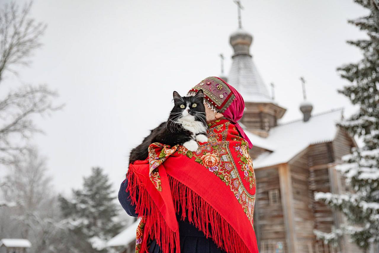 Кошка Ксюша из Витославлиц