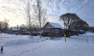 Дом и дерево