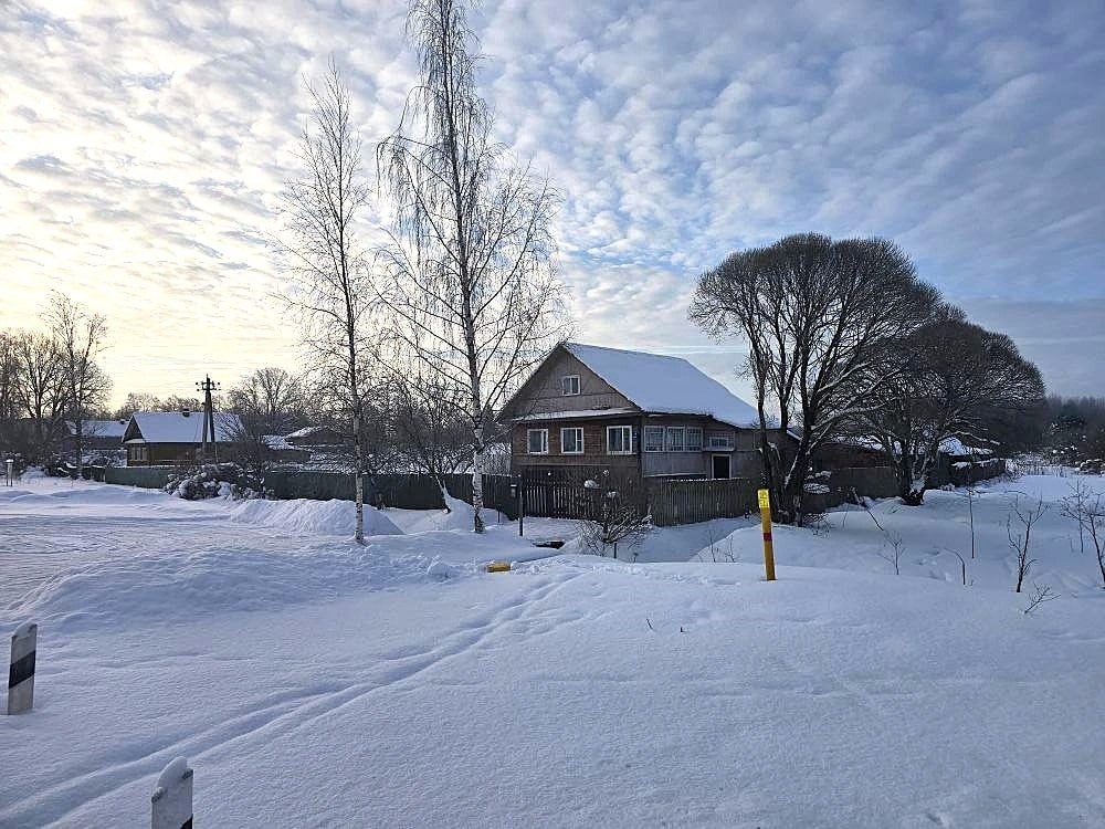 Дом и дерево