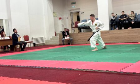 Каратист на татами