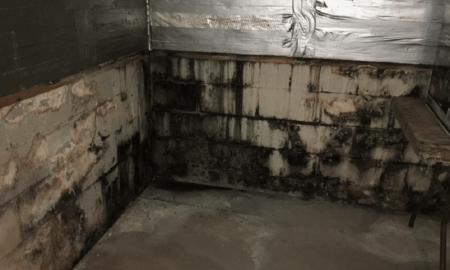 Стены погреба с конденсатом и грибком
