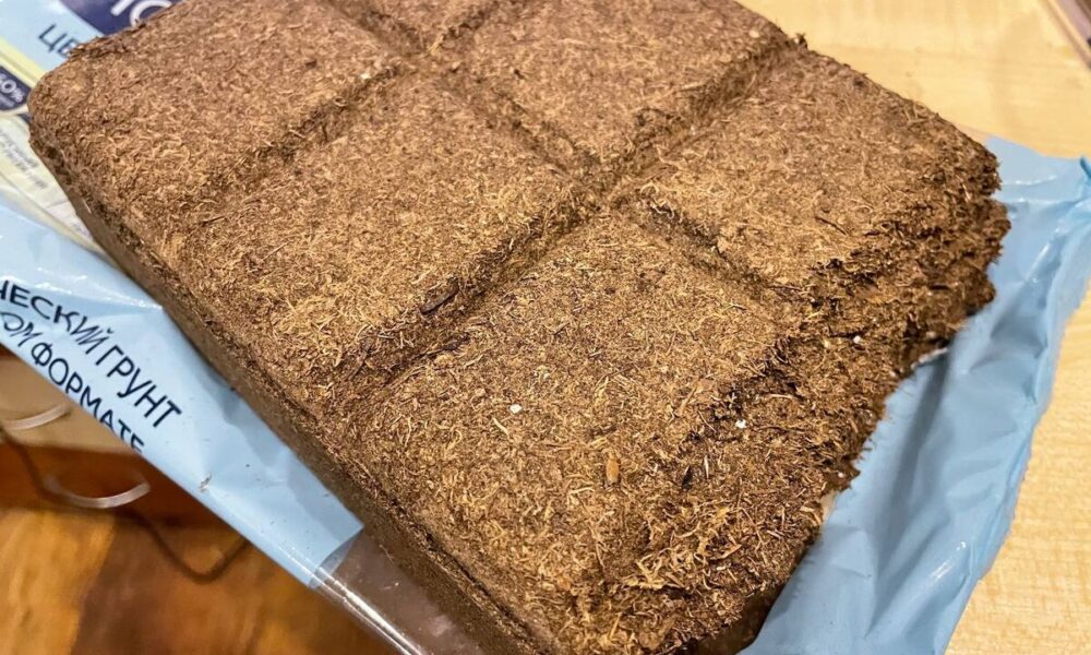 Сухой почвобрикет