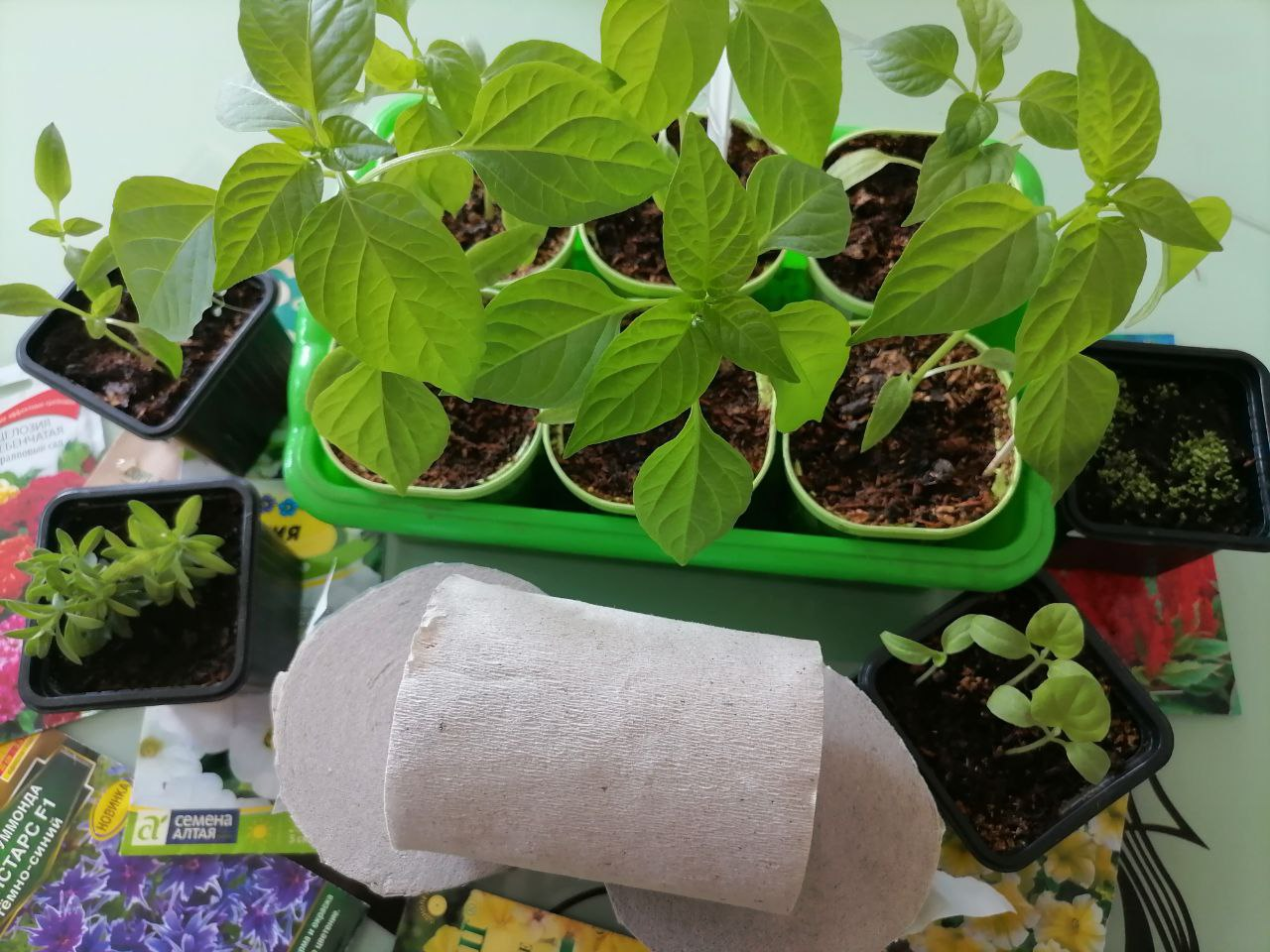 Туалетную бумагу активно используют садоводы