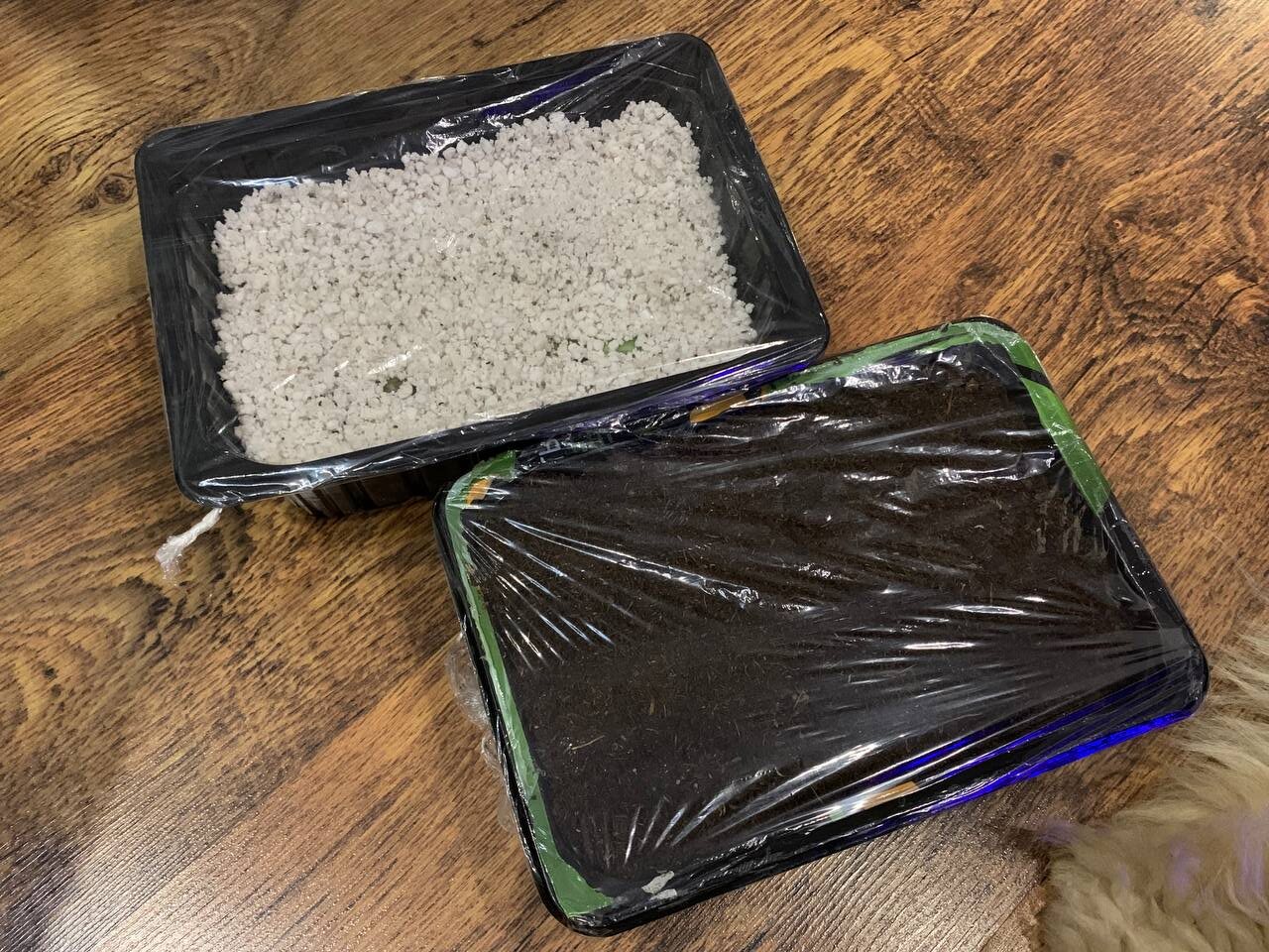 Тара для черенкования пеларгоний