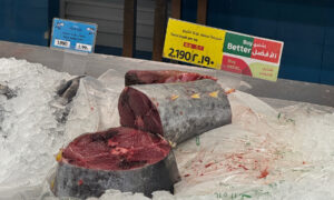 Свежий тунец