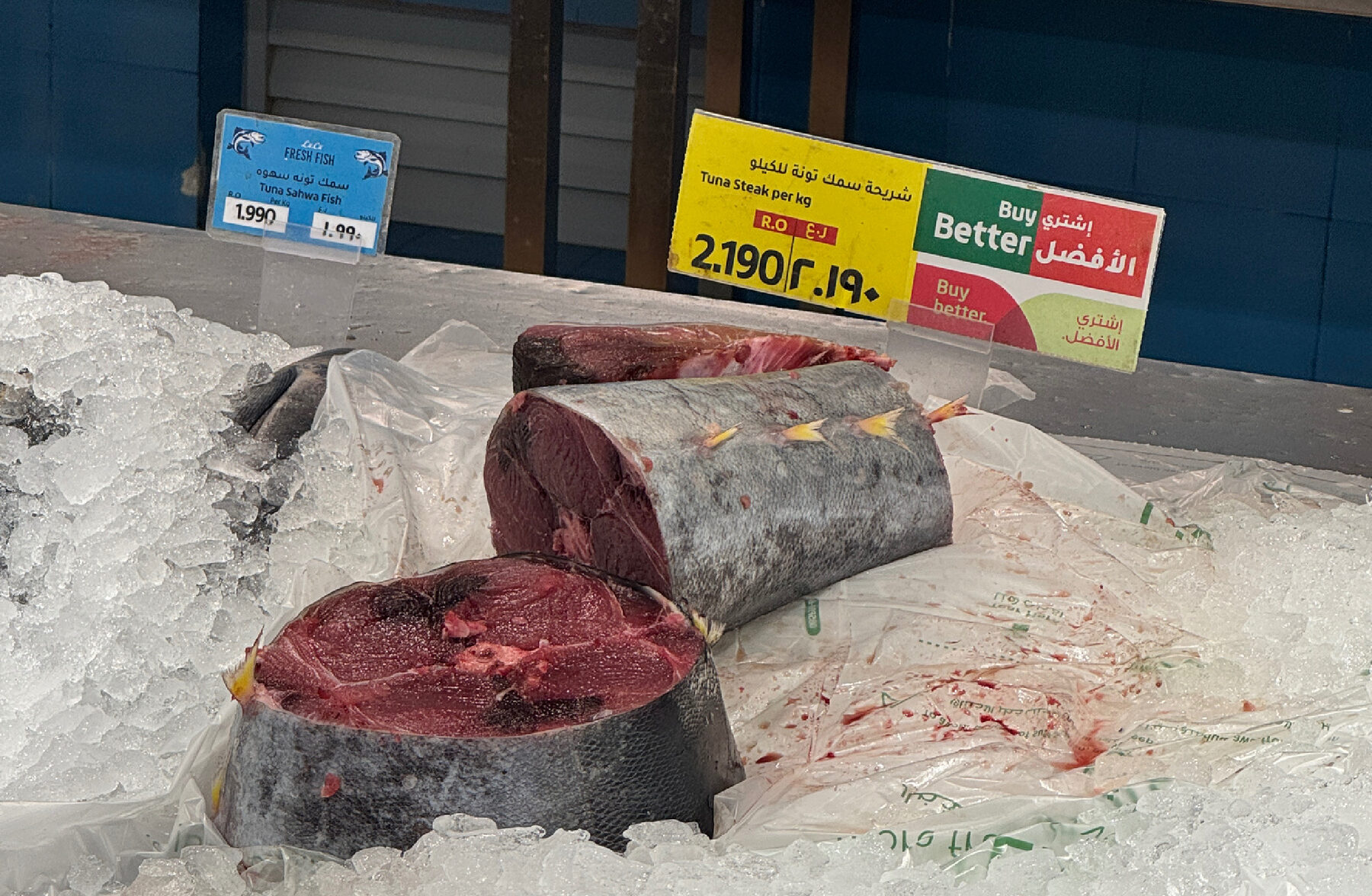 Свежий тунец