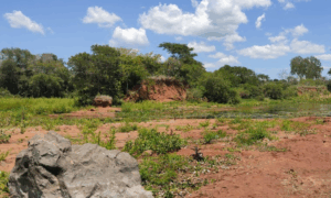 раскопки болото поисковики самолет ВОВ
