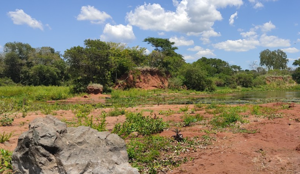 раскопки болото поисковики самолет ВОВ