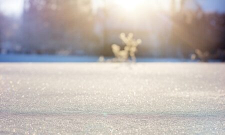 alt снег на льду