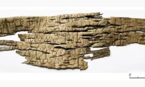 берестяная грамота 15 века