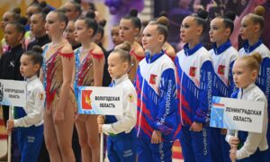 Художественная гимнастика