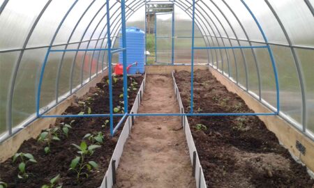 Теплица с бочкой