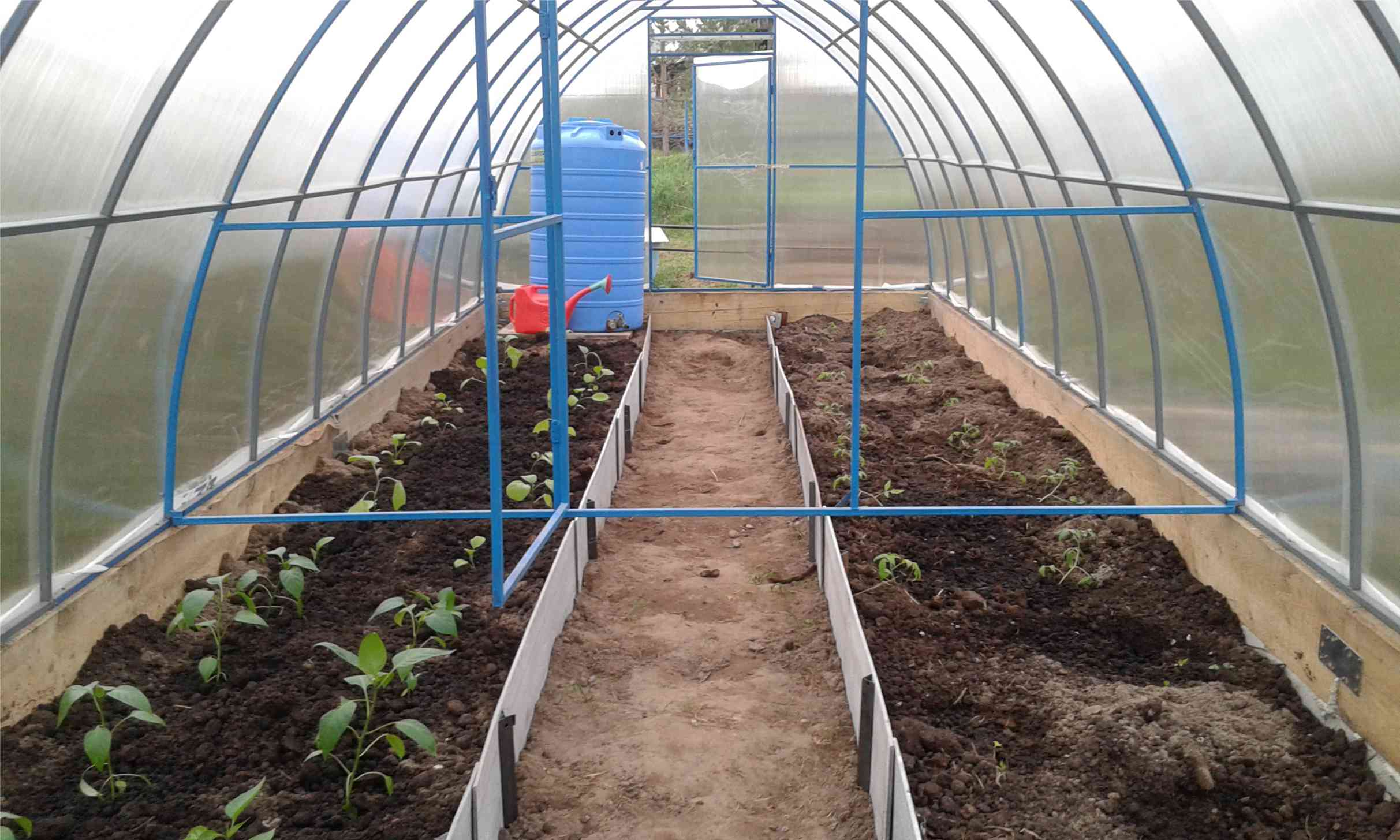 Теплица с бочкой