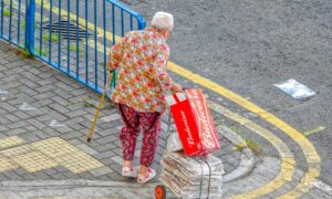 Бабушка с сумками