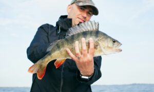 Мужчина поймал рыбу