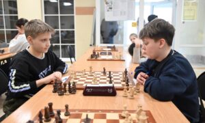 Шахматная партия