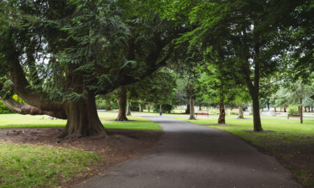 общественный парк благоустройство