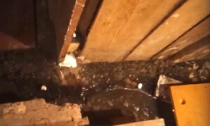 Зловонная река