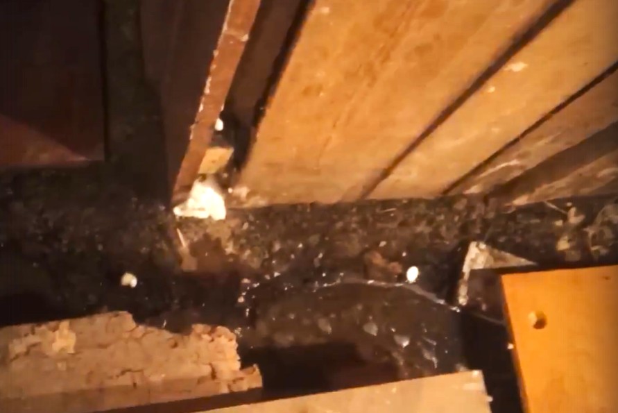 Зловонная река